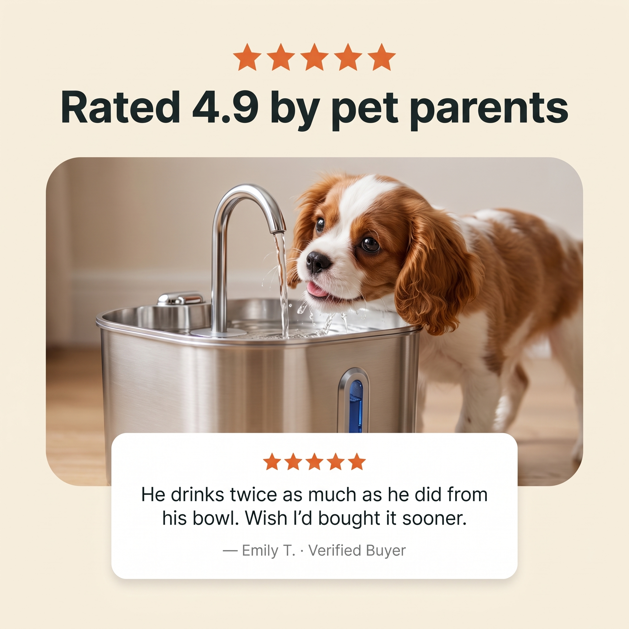 Rated 4.9 by pet parents — verified review